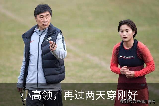 小高领，再过两天穿刚好